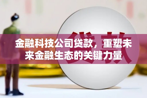 阳明金融科技公司贷款，重塑未来金融生态的关键力量