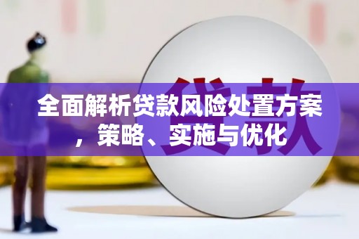 阳明全面解析贷款风险处置方案，策略、实施与优化