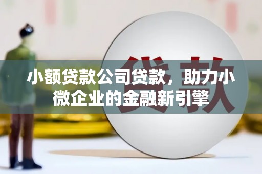 阳明小额贷款公司贷款，助力小微企业的金融新引擎