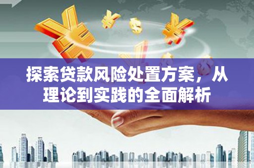 阳明探索贷款风险处置方案，从理论到实践的全面解析