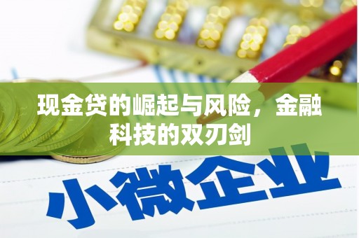 阳明现金贷的崛起与风险，金融科技的双刃剑