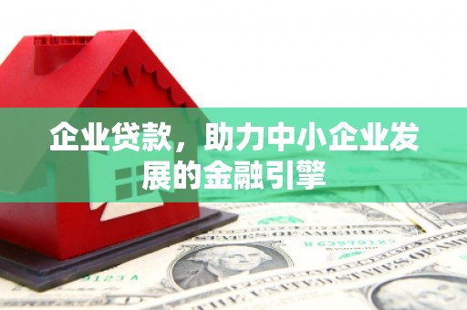 阳明企业贷款，助力中小企业发展的金融引擎