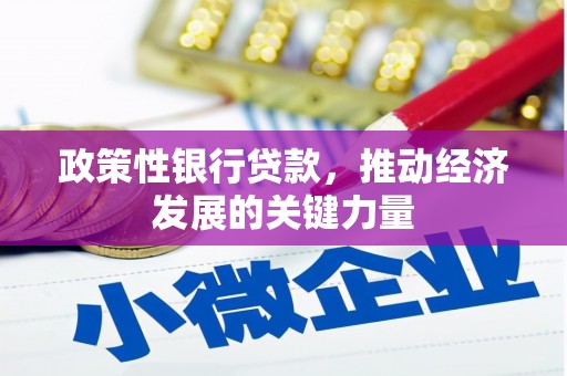 阳明政策性银行贷款，推动经济发展的关键力量