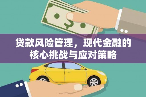 阳明贷款风险管理，现代金融的核心挑战与应对策略