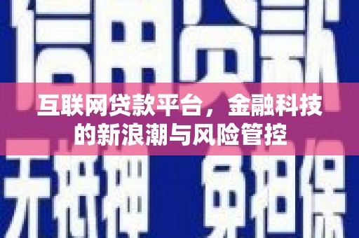 阳明互联网贷款平台，金融科技的新浪潮与风险管控