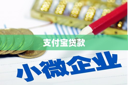 阳明支付宝贷款