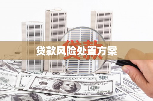 阳明贷款风险处置方案